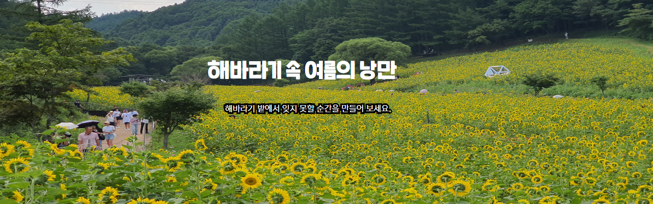 이미지슬라이드